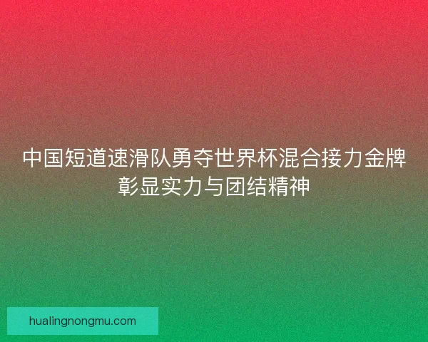 中国短道速滑队勇夺世界杯混合接力金牌彰显实力与团结精神