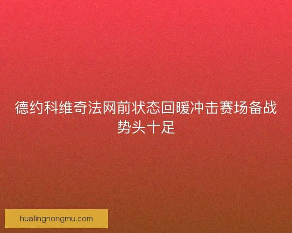 德约科维奇法网前状态回暖冲击赛场备战势头十足