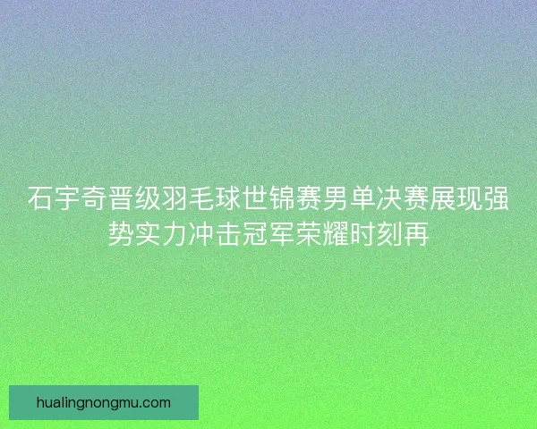石宇奇晋级羽毛球世锦赛男单决赛展现强势实力冲击冠军荣耀时刻再